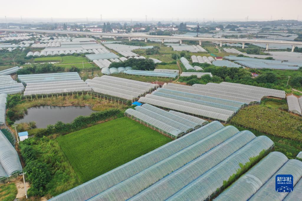 游戏厅赌币机大全